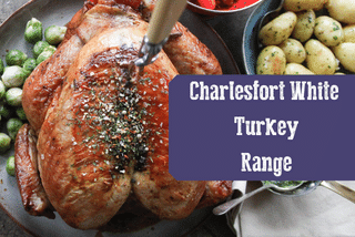 Irish Charlesfort White Turkey